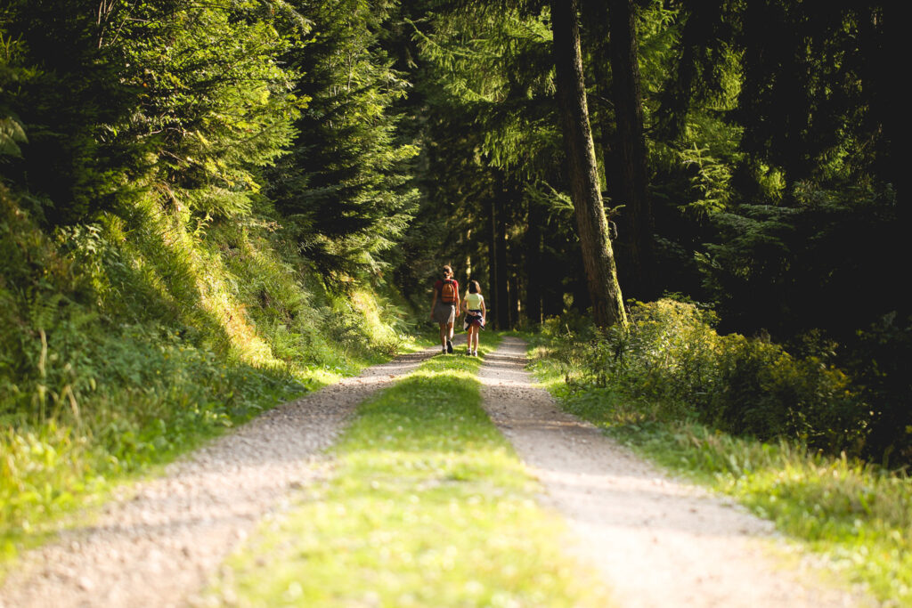 Spaziergang im Wald frische Luft Sonnenschein