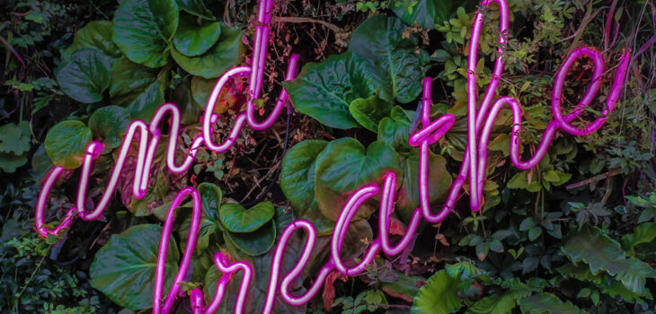 reduce worry and anxiety and breathe neon sign with plants in background