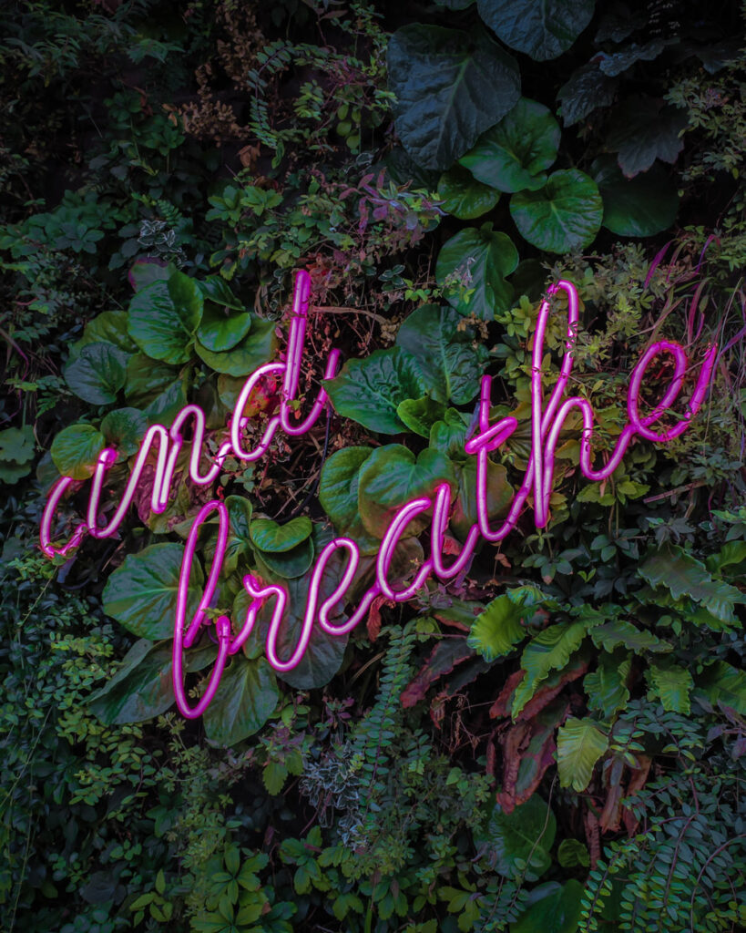 reduce worry and anxiety and breathe neon sign with plants in background