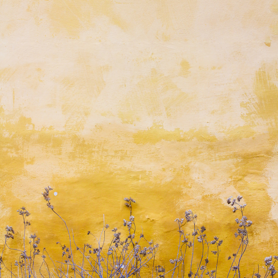 yellow wall with flowers