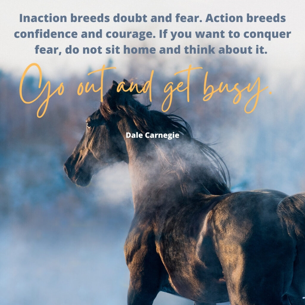 quote by Dale Carnegie: Inaction breeds doubt and fear. Action breeds confidence and courage. If you want to conquer fear, do not sit home and think about it. Go out and get busy. Picture of black horse.