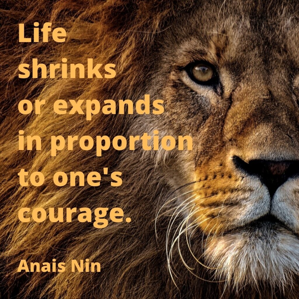 Anais Nin quote: Life shrinks or expands in proportion to one's courage.