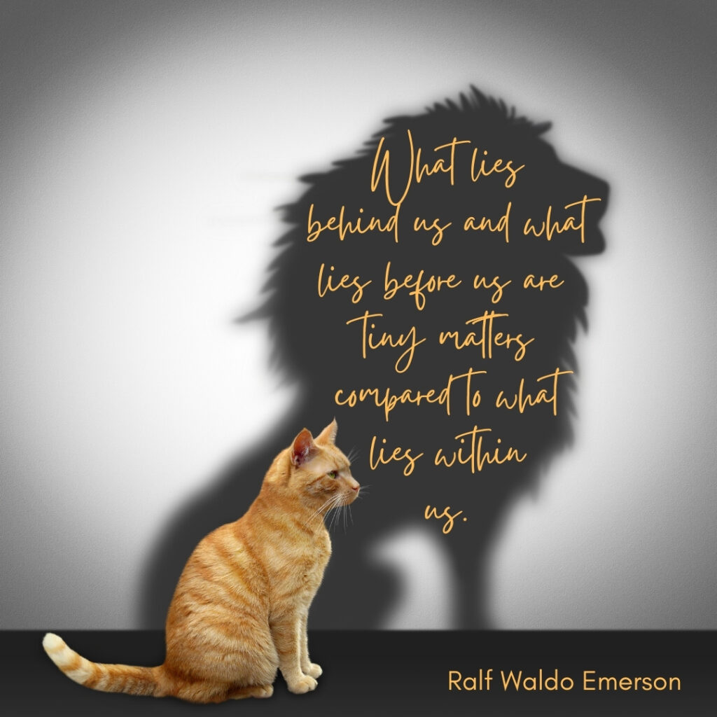 Ralf Waldo Emerson quote: What lies behind us and what lies before us are tiny matters compared to what lies within us. Picture of cat with lion shadow